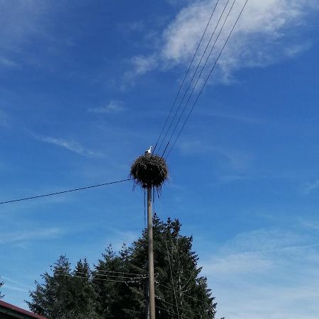 Schwarzwald Appartement シュタイネン エクステリア 写真