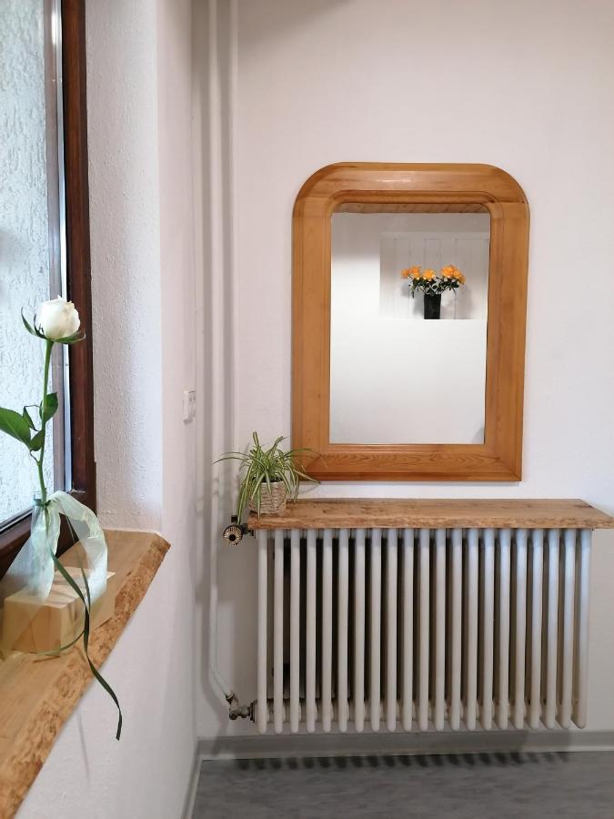 Schwarzwald Appartement シュタイネン エクステリア 写真