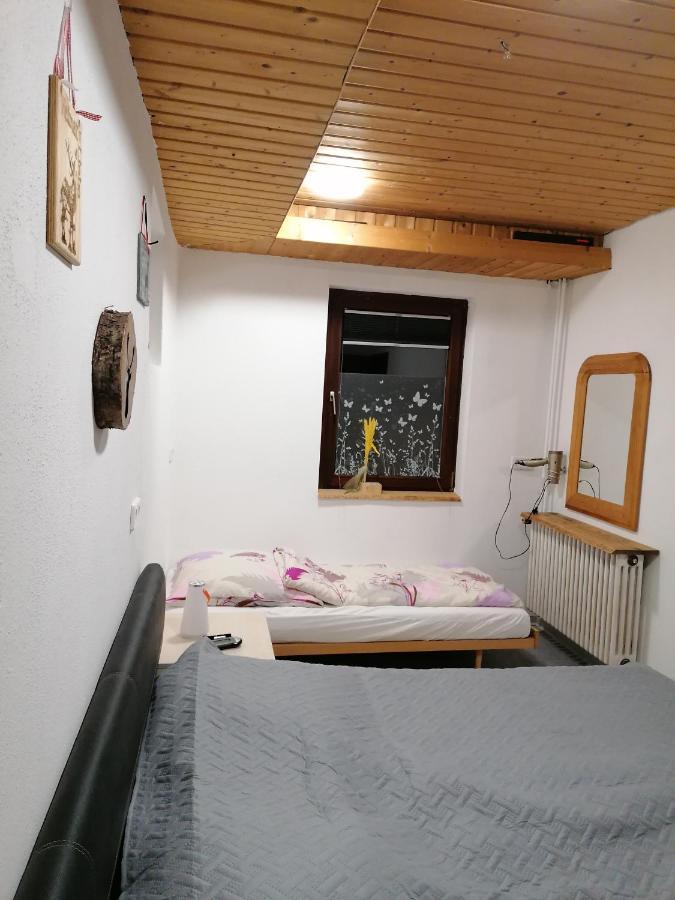 Schwarzwald Appartement シュタイネン エクステリア 写真