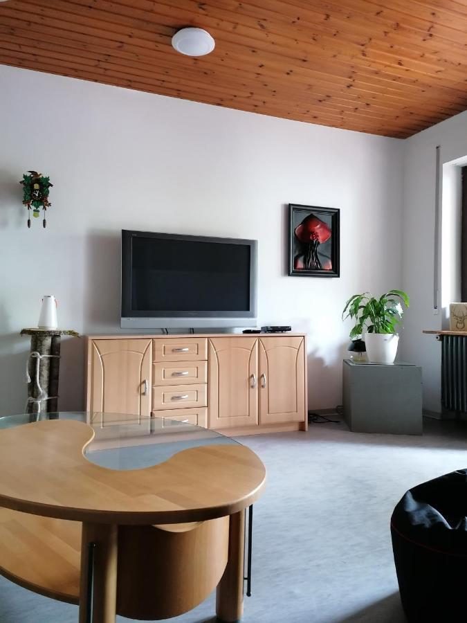 Schwarzwald Appartement シュタイネン エクステリア 写真