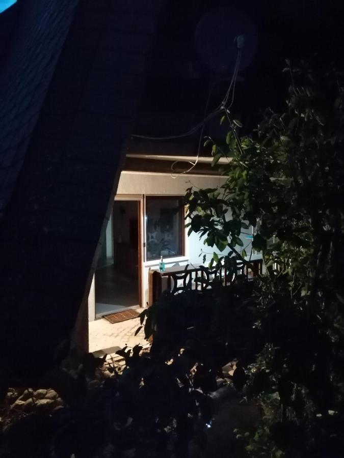 Schwarzwald Appartement シュタイネン エクステリア 写真
